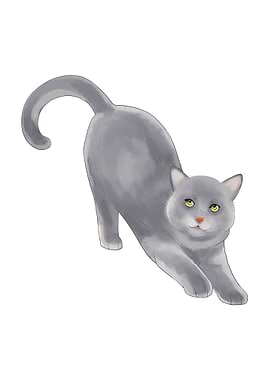 Gray Cat