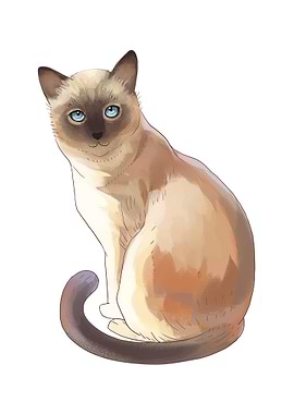 Siamese Cat