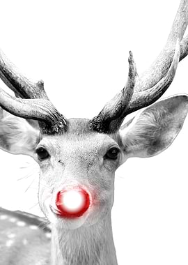Rudolph