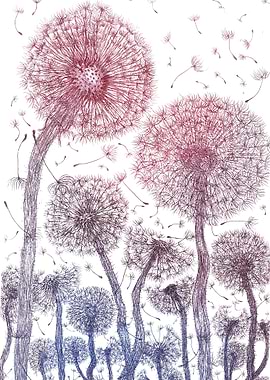 Crazy B and V Dandelions