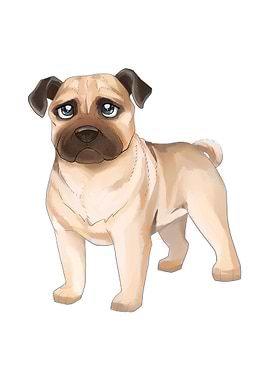 Pug