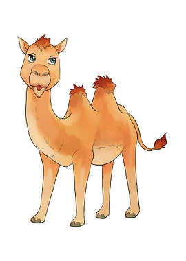Camel
