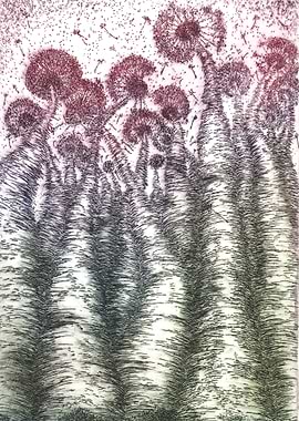 Tall G and V Dandelions