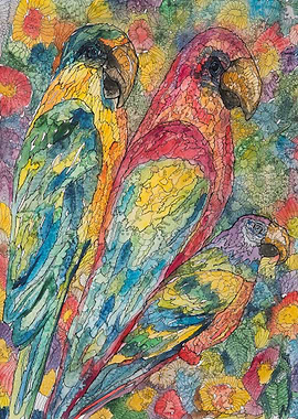 Three Relaxed Parrots