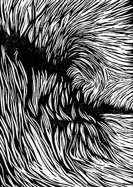 Black Waves on a Beach