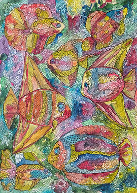 Colorful Coral Reef Fishes