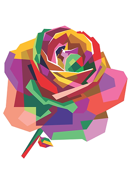 Colorful Rose Flower