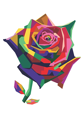 Colorful Rose Flower