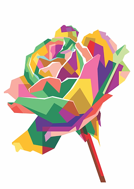 Colorful Rose Flower