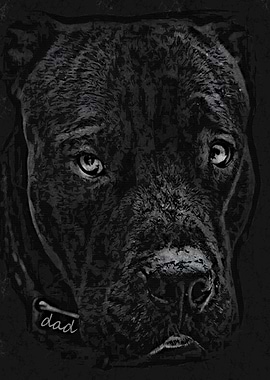 Pitbull Soul Pitbull Eyes