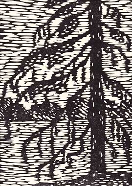 Black Pine at a Lake