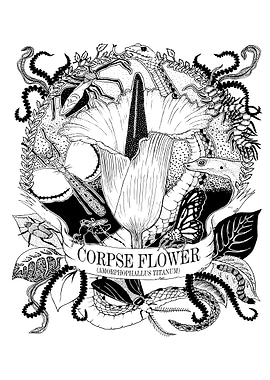 Corpse Flower