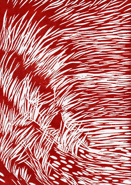 Brown Grass in the Wind