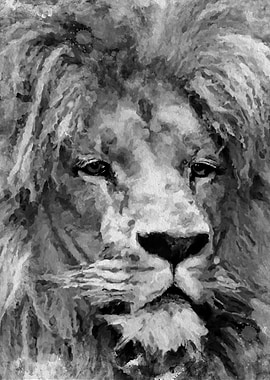 Lion Black and White