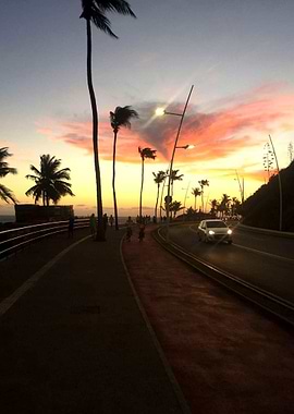 Atardecer de palmeras