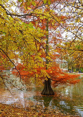 Madrid Crystal Palace