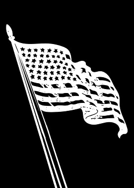 American Flag 2