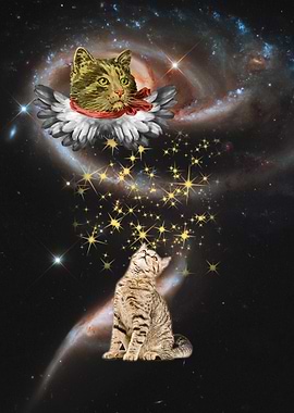 Flying Among The Stars