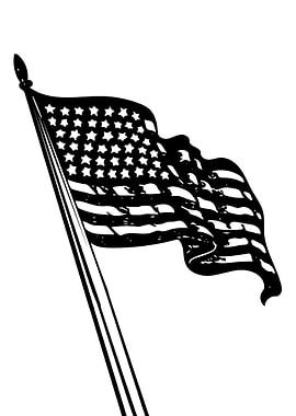 American Flag 2