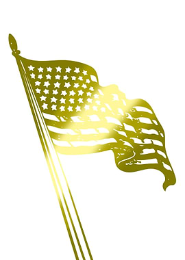 American Flag 2