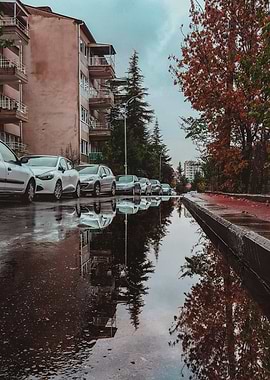 Road Reflections