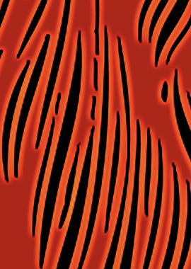 Os Sentimentos Aleatorios