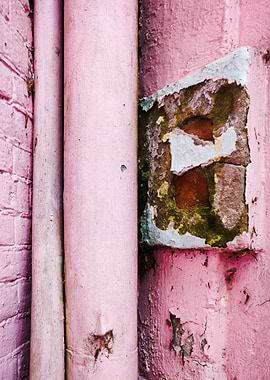 Pink Castle Drainpipe