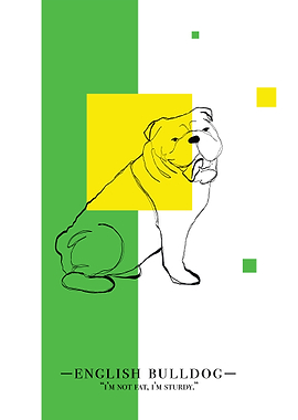 English bulldog