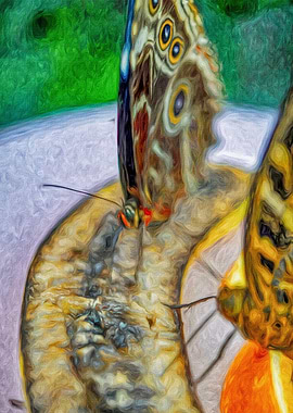 Butterfly with Fruit