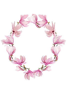 magnolia flowers frame
