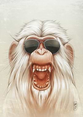 The Great White Angry Monk