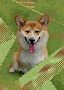 Pembroke Welsh Corgi