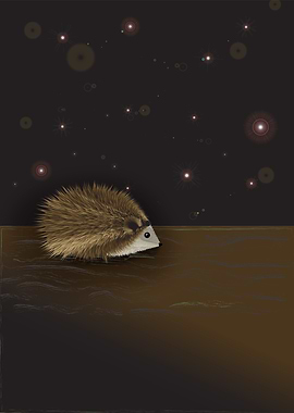 Hedgehog lost in space