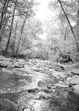 getawaycrowsnestcampmd