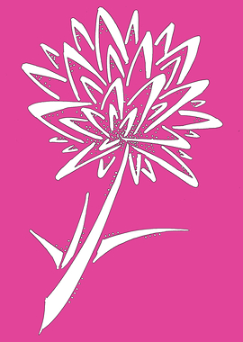 Pink Dandelion Flower