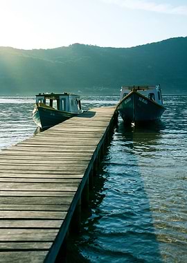 Wooden dock