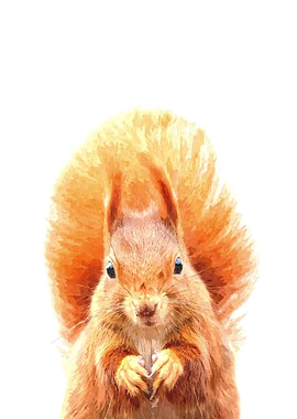 Squirrel Portrait