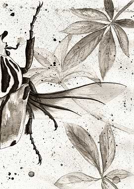 Goliath Beetle Watercolour