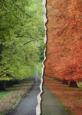 Season with paper tear