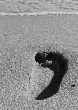 Foot print