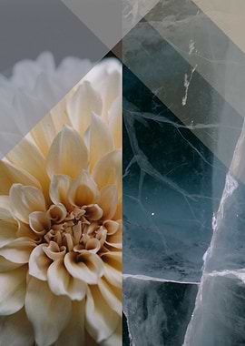 WhiteDhalia on BlackMarble