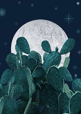 Night desert garden 2