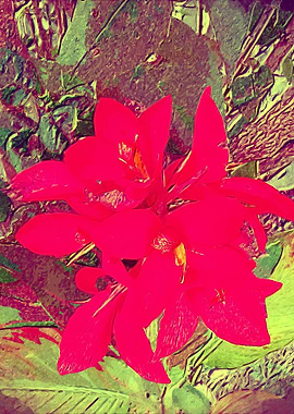 red flowers