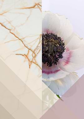 WhiteAnemone on GoldMarble