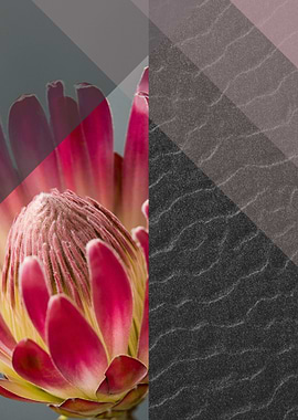 Red Flower on black sand