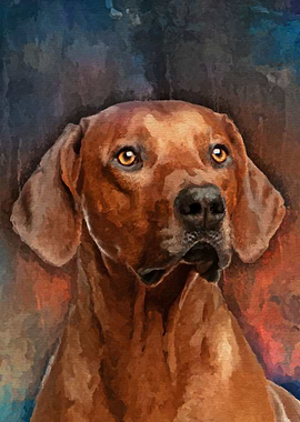 Rhodesian Ridgeback