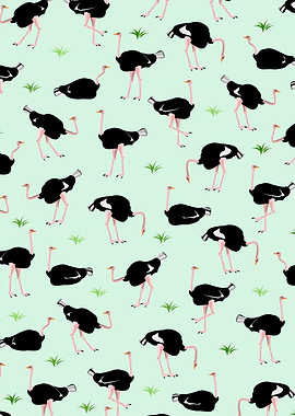 Ostrich Pattern