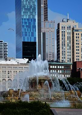 Chicago Buckingham