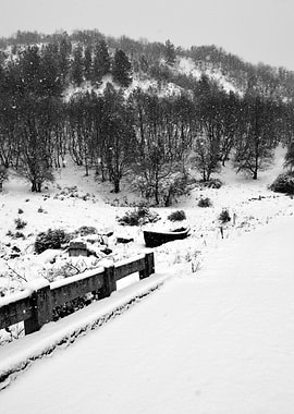 Boat on a Snowing Forest