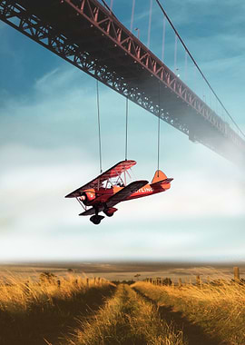 plane under the bridge